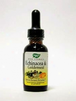 Nature's Way - Echinacea W/ Goldenseal Root Glycerite 1 Oz