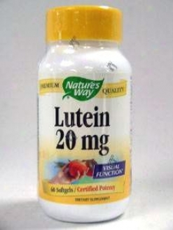 Nature's Way - Lutein 60 Gels