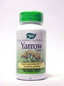 Nature' sWay - Yarrow Flowers 650 Mg 100 Caps