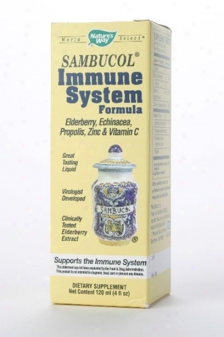 Nature's Way's Sambucus Immune Syrup 4oz