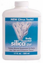 Natureworks Body Essential Silica Gel 17 Fl Oz