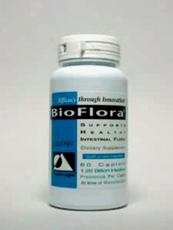 Physiologic's Bioflora 1.26 Bl 60 Vcaps