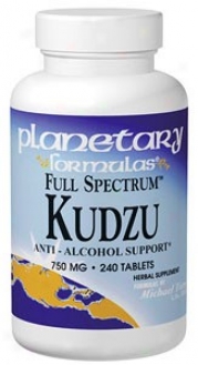 Planetary Formulas Full Spectrum Kudzu 240tabs