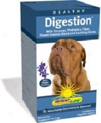 Renew Life's Healthy Digestion For Dogs 60tabs