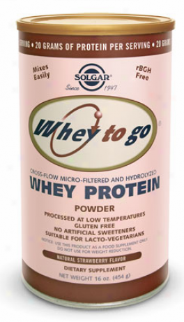 Solgar Whey To Go Protein Powder Strawberry Flavor 16oz