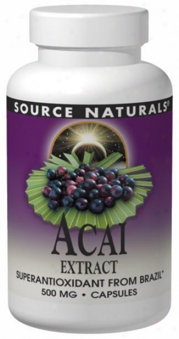 Source Naturals Acai Extract 500 Mg 120 Caps