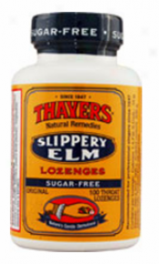 Thayers Slippery Elm Even Sugar-free 100lzgs