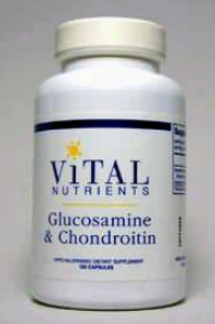 Vital Nuyrient Glucosamine + Chondroitin 375 Mg 120 Caps