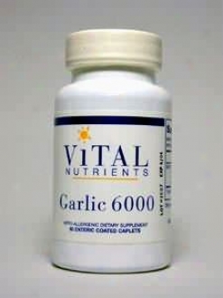 Vital Nutrient's Garlic 650 Mg 60 Caps