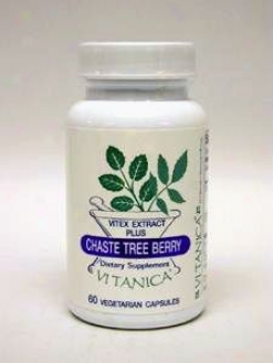 Vitanica's Chaste Tree Berry 240 Mg 60 Caps