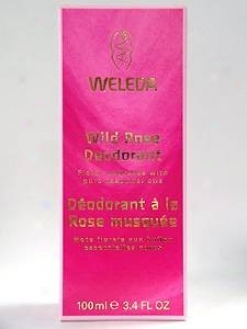 Weleda Trunk  Care's Wild Rose Deodorant