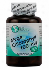 Worls Organics Mega Chlorophyll 100mg 120caps