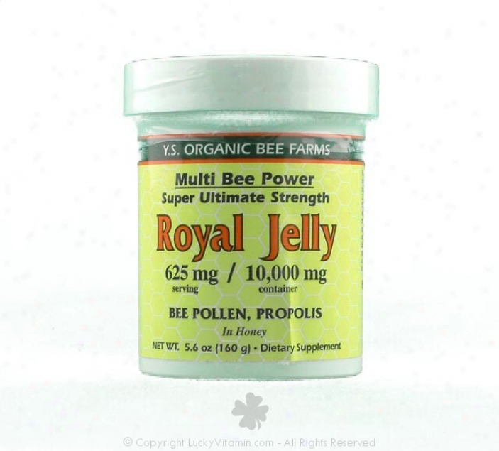 Y.s. Mulyi Bee Power Royal Jelly 20,000mg In Honey 11.5oz (610)