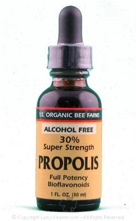 Y.s. Propolis 20%  None Alcohol 1oz (9l5)