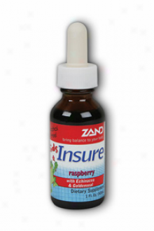 Zand Kids Insure Herbal Raspberry 1 Fl Oz